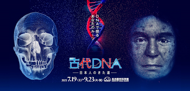 「古代DNA　－日本人のきた道－」